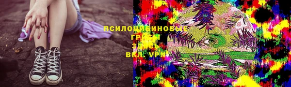 тгк Карпинск
