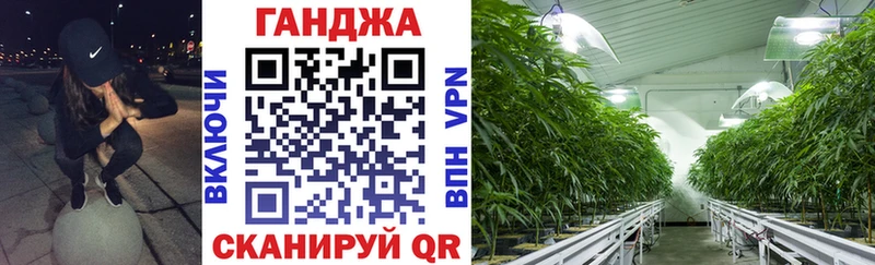 Марихуана Bruce Banner Балахна